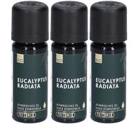 PHYTOMED Essentiele Eucalyptus Radiata bio 10 ml Huile 3x10