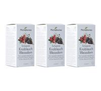 PHYTOPHARMA Ail noir Aubépine Capsule(S) 3x100 pc(s)
