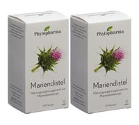 PHYTOPHARMA Chardon marie Capsule(S) 2x80 pc(s)