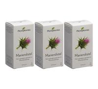 PHYTOPHARMA Chardon marie Capsule(S) 3x80 pc(s)