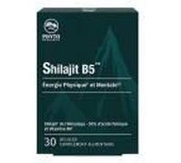 Phytoresearch Shilajit B5 30 Gélules - Boîte 30 gélules