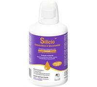 Phytoresearch Silicio Chondroïtine Et Glucosamine 500ml