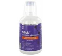 Phytoresearch Complément alimentaire Silicio Chondroïtine et Glucosamine 500 ml
