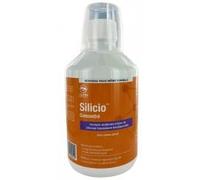 Phytoresearch Silicio Concentré 500 ml - Bouteille 500 ml