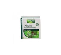 Phytosun Arms Baume d'hiverl'eucalyptus 60g