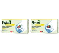 Phytoxil Pastilles Gorges irritées - Arôme Fruits rouges - Dispositif médical - Hydrate les muqueuses sèches et irritées et favorise leur régénération - Format 16 pastilles - A partir de 6 ans