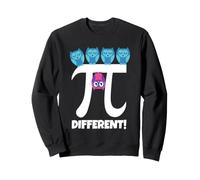 Pi Different Chouette Mignonne Hibou Différent Maths Pi Day Sweatshirt