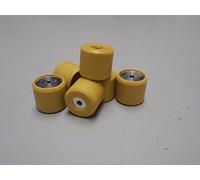 PIAGGIO Lot de 6 rouleaux de variateur, 19 x 17 mm, 10,0 g, CM1038015
