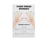 Piano Basics Fingering Chart, Educational Wall Art for Beginner, Student, Home Studio or Practice Room(Framed,16x24inch(40x60cm))