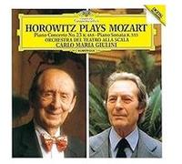 Piano concerto no 23 k 488/piano sonata k 333