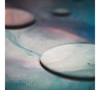 Piano Interrupted - Unified Field