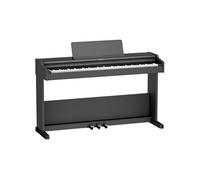 Roland RP107