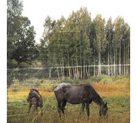 Pianos Become the Teeth - Old Pride - Forest Green Vinyl