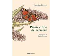 Piante e fiori del terrazzo