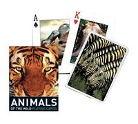 Piatnik Animaux Sauvages: 55 Cartes