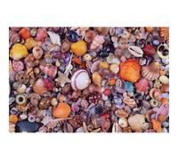 Piatnik Puzzle Coquillages – 1000 pièces
