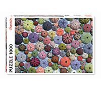 PIATNIK Oursin Puzzle 1000 pièces