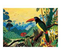 PIATNIK Puzzle Toucan 1000 pièces