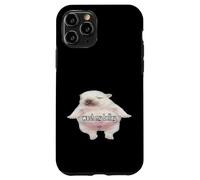 Pibble Meme Wash My Belly Funny Coque pour iPhone 11 Pro