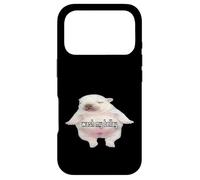 Pibble Meme Wash My Belly Funny Coque pour iPhone 17 Pro