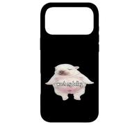 Pibble Meme Wash My Belly Funny Coque pour iPhone 17 Pro Max
