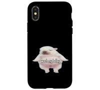 Pibble Meme Wash My Belly Funny Coque pour iPhone X/XS