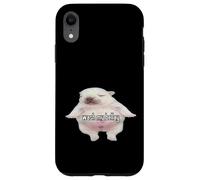 Pibble Meme Wash My Belly Funny Coque pour iPhone XR