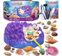 PIBEX Kit de creusement de fossiles de l'océan, creuser plus de 20 coquillages et coquillages, ensemble d'activités éducatives STEM pour enfants, kit de sciences de la biologie marine, cadeau pour