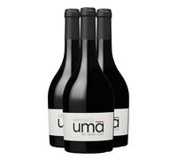 Pic Saint-Loup Apanage Uma - Rouge 2022 - Domaine Uma - Vin Rouge du Languedoc - Roussillon (3x75cl)