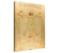 PICANOVA - Leonardo da Vinci - Homme de Vitruve 30x40cm - Photo sur Toile - Impression sur Toile Haut de Gamme - Image sur Toile pour Décoration Murale Moderne - La Collection Art Classique