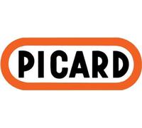 PICARD Manche de rechange SecuTec® pour massette, No. 99432 HS, pour 2.000 gr.