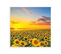 Piccadilly Carte vierge Motif tournesols 160 mm²