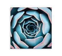 Piccadilly Carte vierge pour plantes grasses 160 mm²