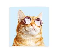 Piccadilly Greetings Carte vierge en forme de chat dans des lunettes 160 mm²