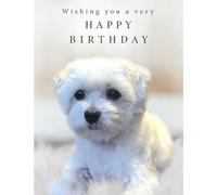 Piccadilly Greetings Wishing you a very Happy Birthday Carte d'anniversaire Motif chien maltais 20,3 x 15,2 cm