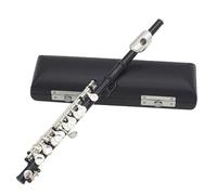 Piccolo 16 trous e mi, accord en do, précis pour débutants et étudiants, idéal pour les cours de musique et les concerts, avec étui de protection et accessoires d'entretien