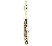 Piccolo Fllute, C Key Tone Piccolo Instrument Instrument Kit d' Flûte à Demi-Taille (Gold)