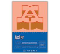 Piccolo Seeds A - Aster - Aster de Chine - 1 sachet