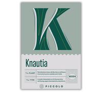 Piccolo Seeds K - Knautie des Champs - 1 sachet