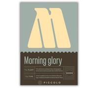 Piccolo Seeds M - Morning glory - Liseron Pourpre - 1 sachet