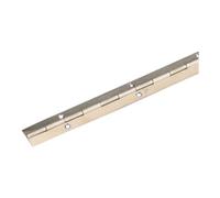 Pickhardt & Gerlach P&G Charnière à tige I 32 mm, L 900 mm acier laitoné Quantité:1