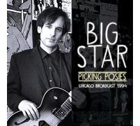 Picking Posies Radio Broadcast Chicago 1994