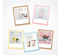 PICKMOTION BKK-0137 Lot de 5 cartes de vœux avec enveloppes Motif animaux et fleurs Multicolore