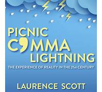 Picnic Comma Lightning: The Experience of Reality in the Twenty-First Century