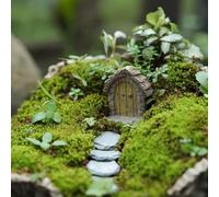 Picocosmxiruo Porte miniature féérique avec 3 marches - Petites figurines de porte en arc circulaire pour jardin féérique et accessoires de terrarium