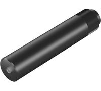 Picotronic Module laser point rouge 1 mW DC650-1-4.5(14x64)-S-AP