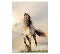 PICSonPAPER Poster non encadré Impression sur toile Fineartprint, poster animal, Papier de qualité supérieure., Hengst, 30 x 40 cm