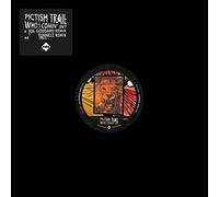 Pictish Trail - Who S Comin in?