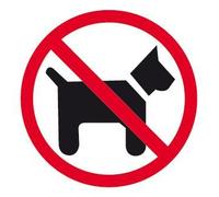 Lot de 10 Picto "Interdit aux chiens" adhésif 114 x 114 mm