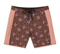 Picture - Andy 17 Printed Boardshorts - Boardshort - 36 - alpine alps print